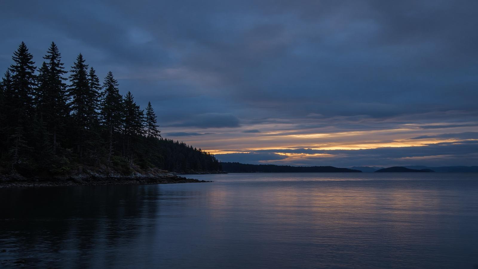 Still water and firs at blue hour